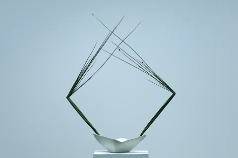 Mesh