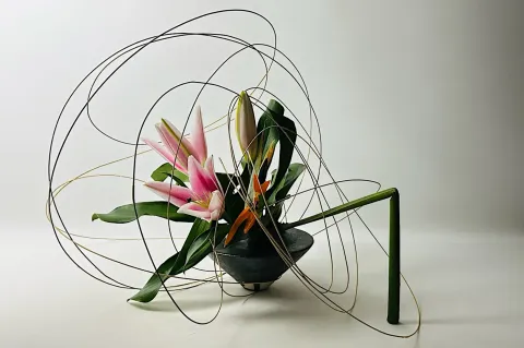 Torn Vase