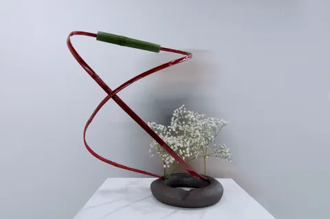 Torus 6