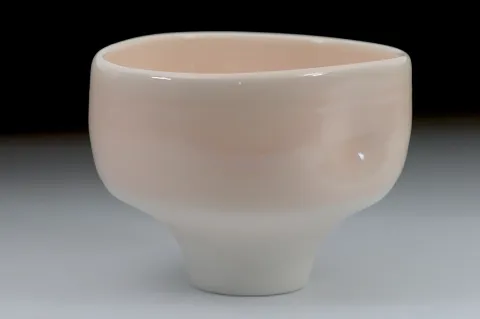 Cup 43