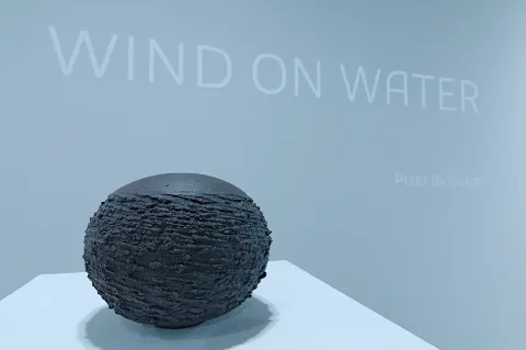 Textured Spherical Vase 1