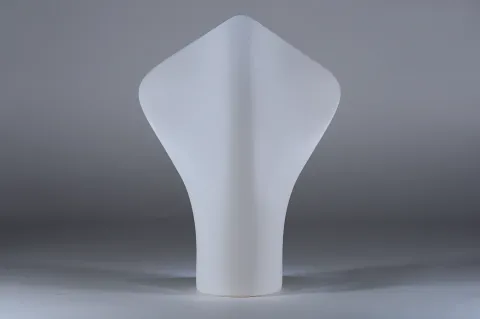 Hybrid Flask 1