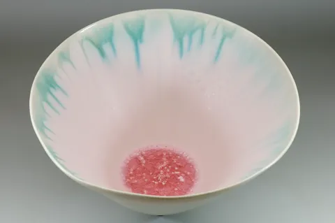 Large Porcelain Bowl