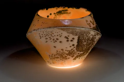 Sake Cup Orbit