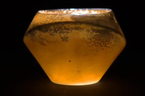 Sake Cup Orbit