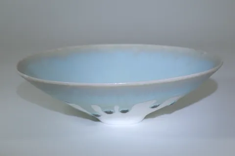 Porcelain Bowl