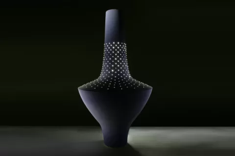 Terebellum