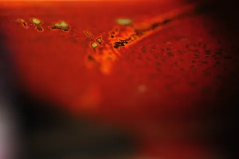 Tessha Glazed Bowl detail