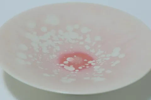 Sakura by Night - Shallow Bowl