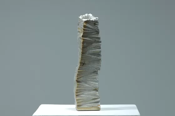 Cascade Vase 5 Rocky Mountain