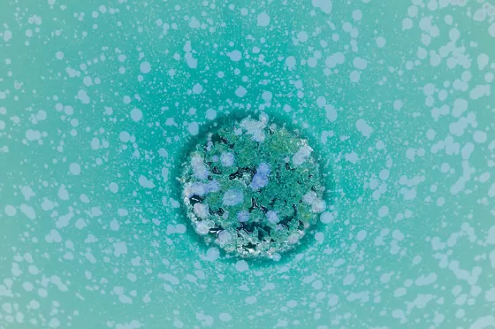 Porcelain Bowl Aurora Glaze Detail